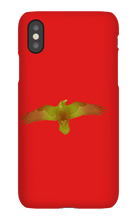 lt_raven98 iPhone Phone Cases