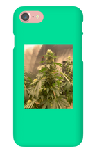 Hard On iPhone Case