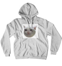 cat crying hoodie :)