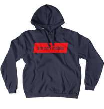 twitch_kr1s Hoodies (No-Zip/Pullover)