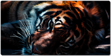 bengalplays XXL Gaming Mousepad
