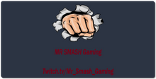 Mr S G XXL Gaming Mousepad