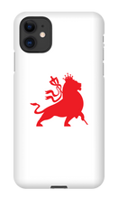 babylonfallsoundsystem iPhone Phone Cases