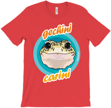 Gechini Carini - Colori accesi