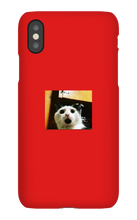 ninjadosjogo iPhone Phone Cases