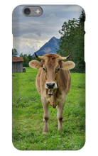Iphone Phone Case Bavaria Cow