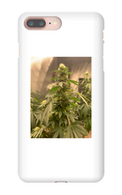 Hard On iPhone Case