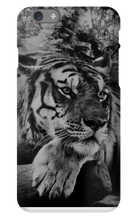 swyzz_jolino iPhone Phone Cases