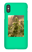 Hard On iPhone Case