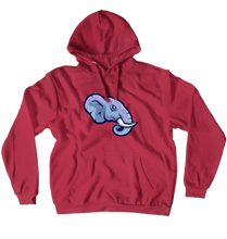 Hoodie (No-Zip/Pullover) Light blue
