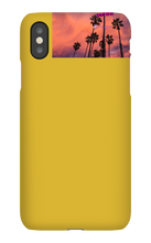 palm seas limited case