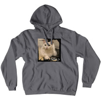 failchildjo Navi Hoodies (No-Zip/Pullover)