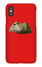pistolpete2k iPhone Phone Cases