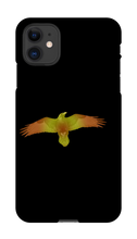 lt_raven98 iPhone Phone Cases