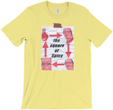 The homemade T-shirt (no shadow)