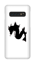Cases Samsung