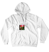 liljaydenazo9jr Hoodies (No-Zip/Pullover)