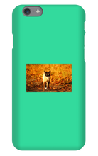 Aidan Rockel-Bigus iPhone Phone Cases