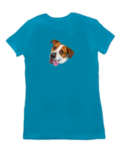Ollie's Got Your Back!