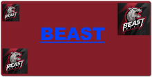 BEAST gaming