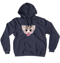 aspiringhd Hoodies (No-Zip/Pullover)