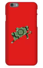Clover Koala iPhone Phone Cases