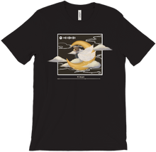 T-Shirt Night Robin