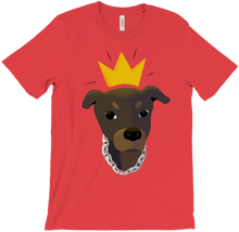 Queen Nala T-Shirts