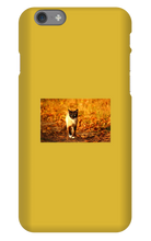 Aidan Rockel-Bigus iPhone Phone Cases