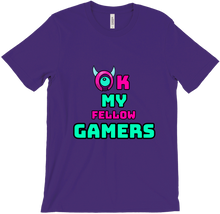 Ok Fellow Gamers - T-shirt