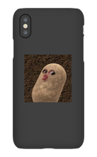 blitzfully_x iPhone Phone Cases