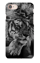 swyzz_jolino iPhone Phone Cases