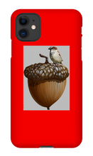 birds_and_squirrels iPhone Phone Cases
