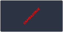 cambroskie XXL Gaming Mousepad