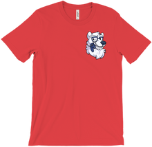 T-Shirt Standard (Bright Colors)