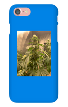 Hard On iPhone Case