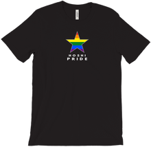 Hoshi Pride T-Shirts