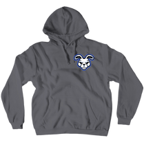 Hoodie Small Logo