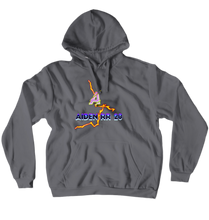 AidenRR20 Hoodies