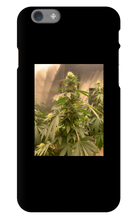 Hard On iPhone Case