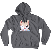 Blue Hoodies (No-Zip/Pullover) [Limited Edition]