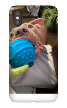 doggoasmr iPhone Phone Cases