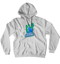 DizzyGaming Hoodies (No-Zip/Pullover)