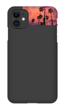 palm seas limited case
