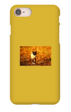 Aidan Rockel-Bigus iPhone Phone Cases