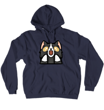 Hoodies (No-Zip/Pullover)
