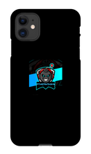 robingames05 iPhone Phone Cases
