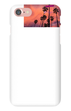 palm seas limited case