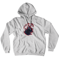darhk_angel Hoodies (No-Zip/Pullover)