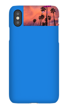palm seas limited case